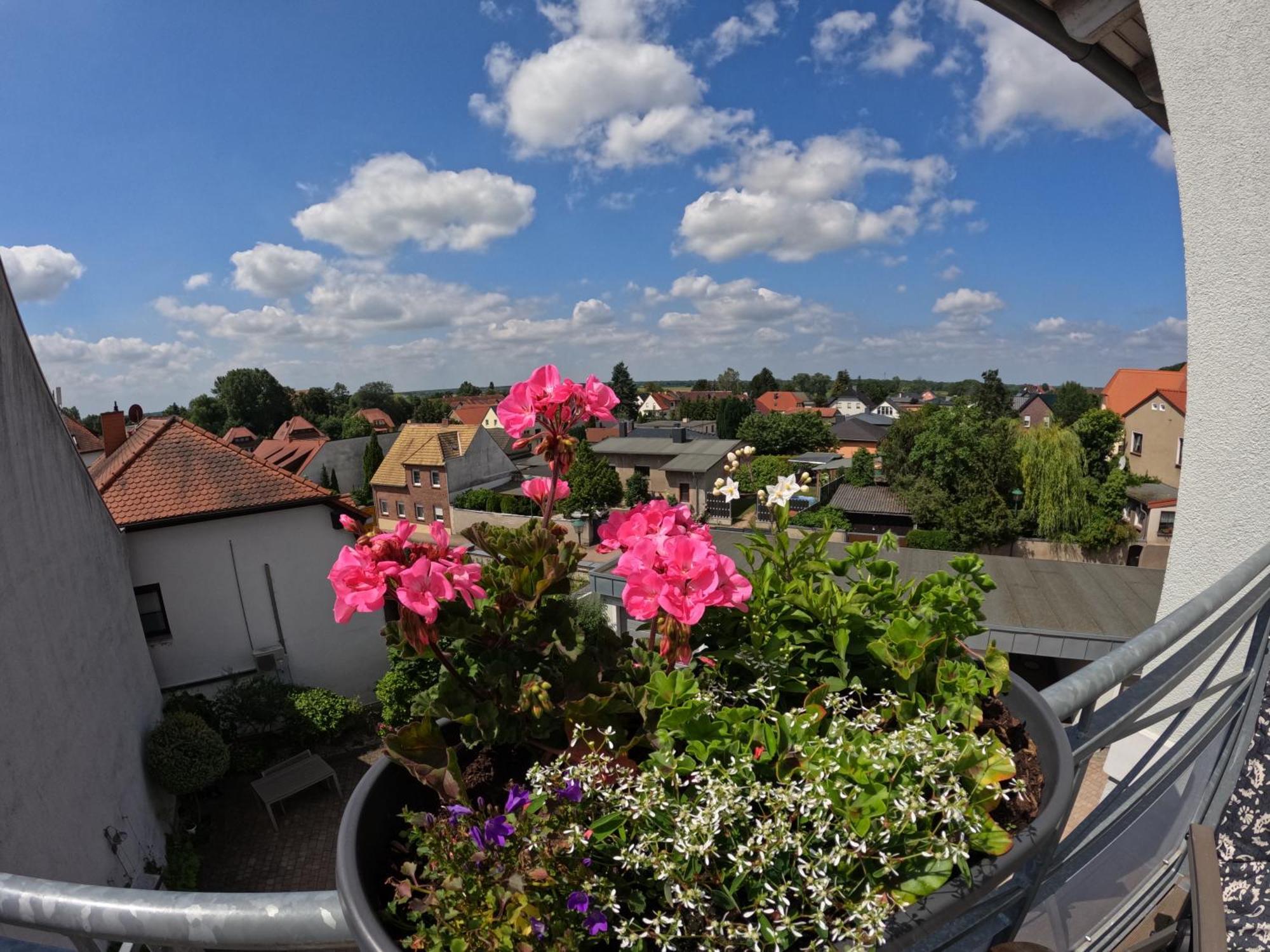 Ferienwohnung Ausblick Bad Düben Exteriér fotografie